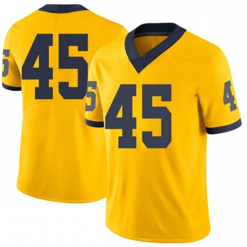 Adam Shibley Michigan Wolverines Youth NCAA #45 Maize Limited Brand Jordan College Stitched Football Jersey GVV8254UF